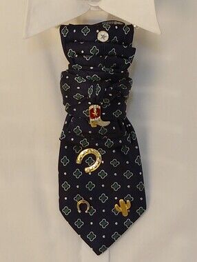 Navy Patterned Necktie with Western Charm Pins